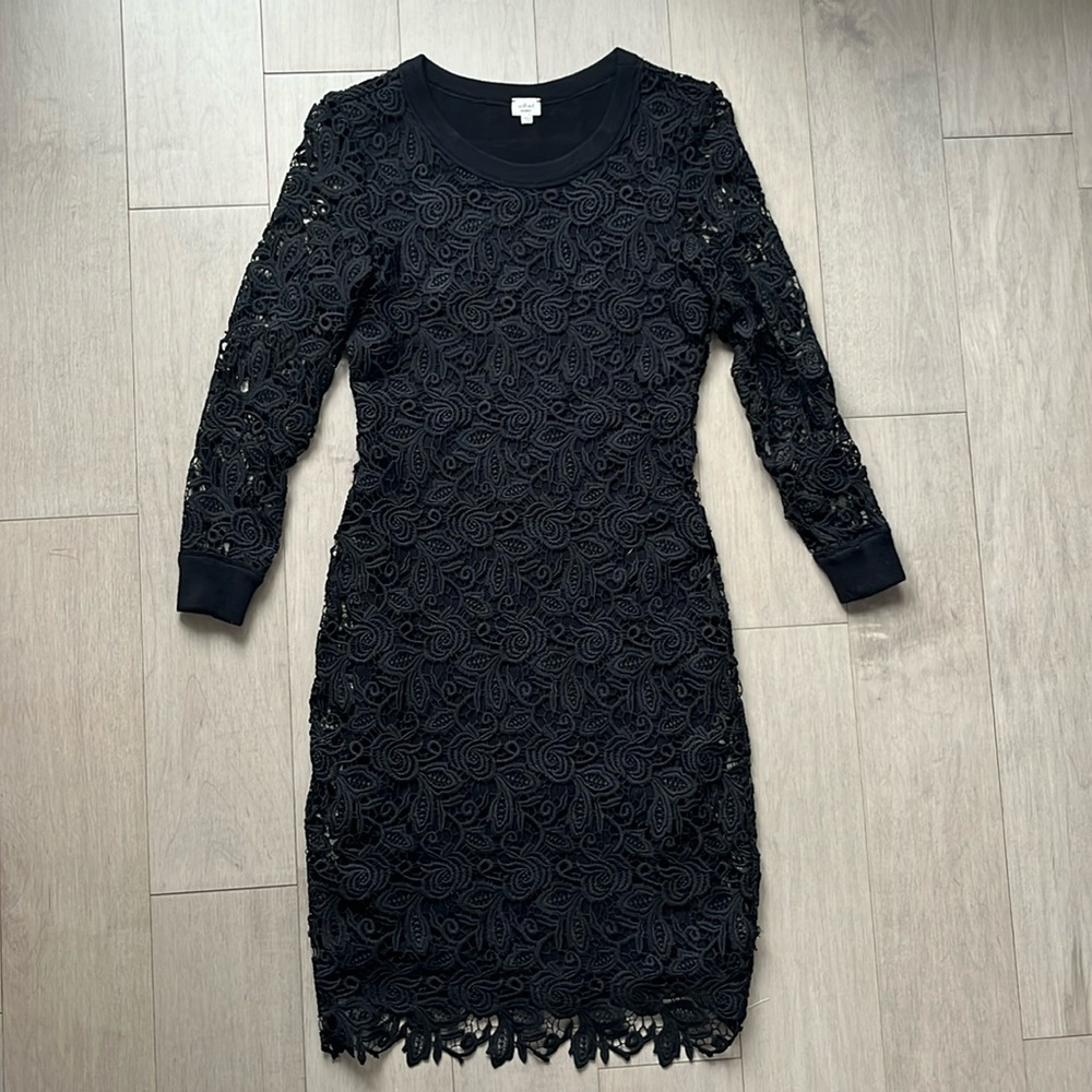 Aritzia Wilfred Lace Dress